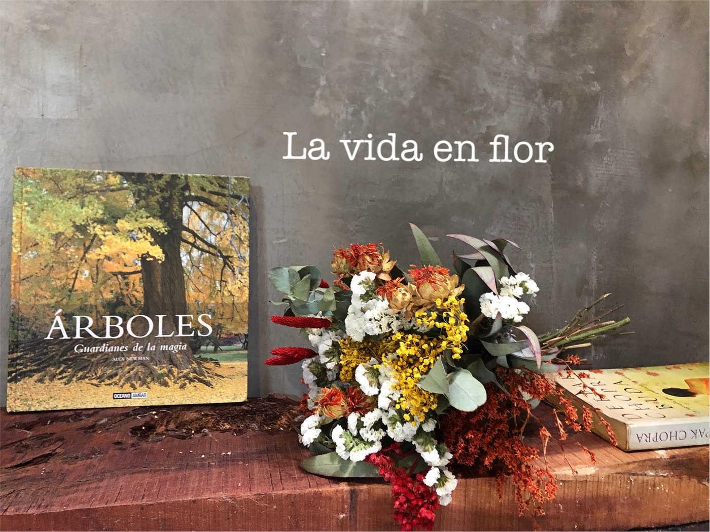 Arreglos de autor 8