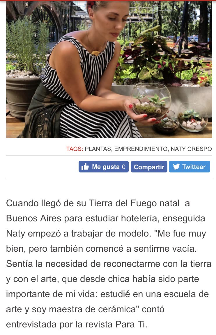 Publicación 2
